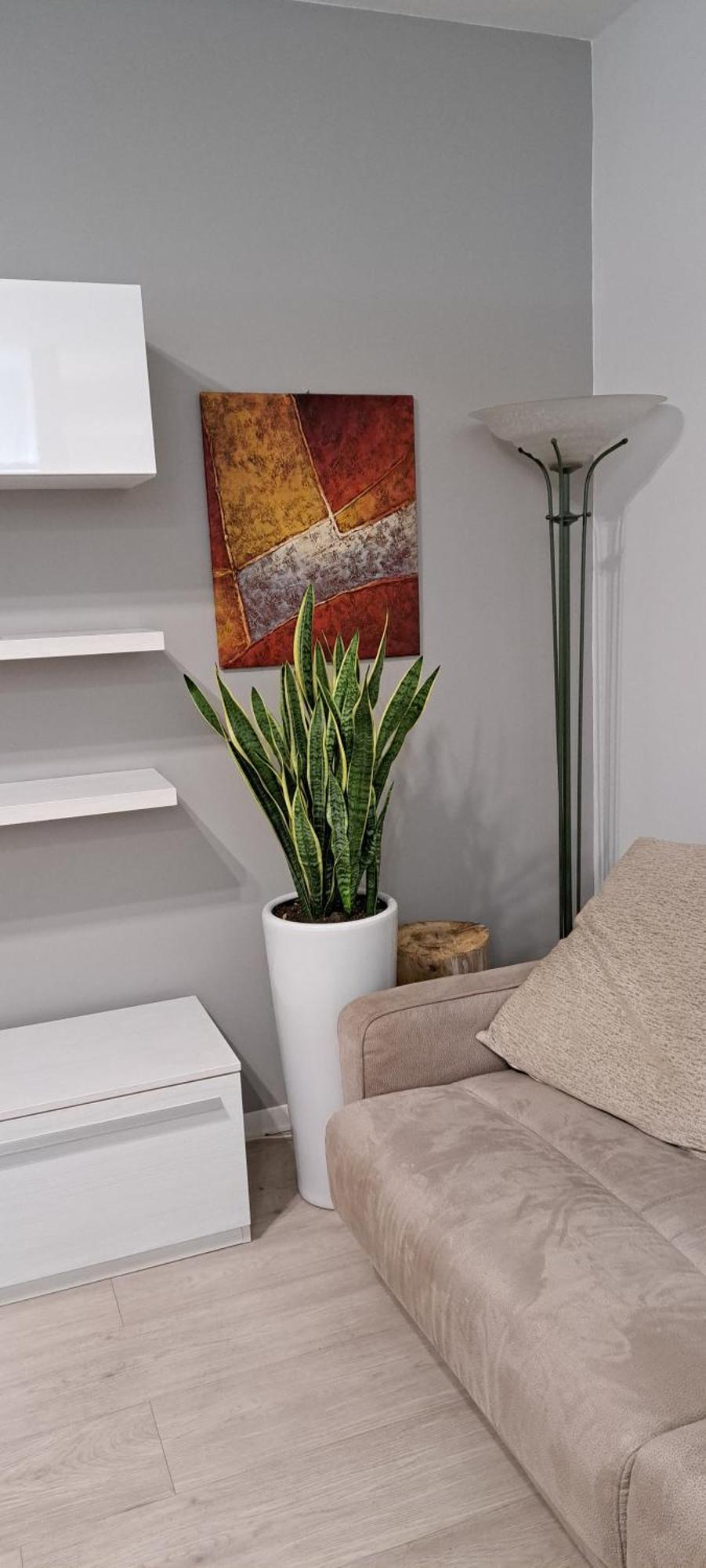 Apartament Marco